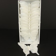 5" BUTTERFLY WHITE 12/BX