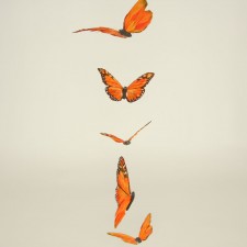 5' BUTTERFLY GARLAND MONARCH