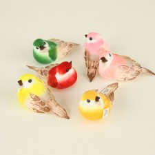 2.5" BIRD 6/PKG A4