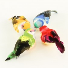 3" FEATHER BIRD 4PC/PKG