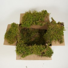 SHEET MOSS 2 CUBIC FT