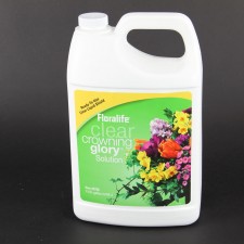 CROWNING GLORY GAL CLR X6
