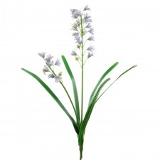 NEW BLUE BELL LAVENDER A6 B2