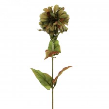 25"ZINNIA SPR W/6 LVS A5