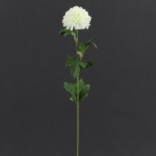 POM POM MUM CREAM B2