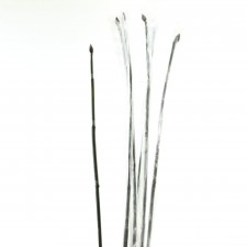 36" LUCKY BAMBOO BUND A5