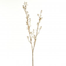 33" DIAMOND SPRAY X2 A5