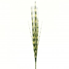19' PVC GRASS SPRAY A4 B2