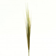 19"PVC GRASS SPRAY A4 B2