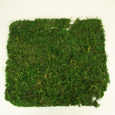 18"X16" MOSS SHEET