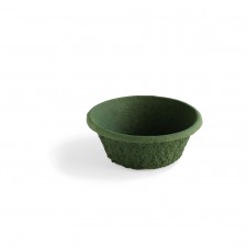 10 X 4 MEGA POT X 1