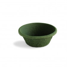 12 X 5 MEGA POT X 1