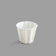 5J PAPER MACHE POT 60/CS