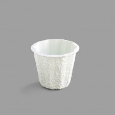 6J PAPER MACHE  50/CS