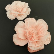 TISSUE SCALLOP FLOWER 2PC/ST