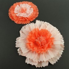 TISSUE STARBURST FLOWER 2/ST