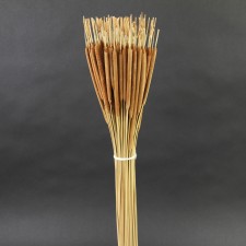 CATTAIL BROWN