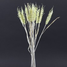 WHEAT NATURAL 12PC/BU A4