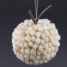 3.5" SHELL APPLE A4