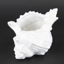 SHELL CONTAINER 7"X6.5"X6.5"