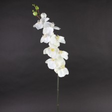 42" PHALEANOPSIS SPRAY X9