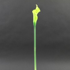 22"SM.CALLA LILY SPRAY A4