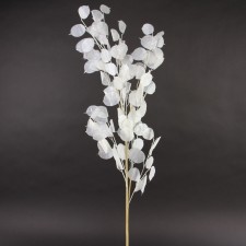 40"LUNARIA SLVR DOLLAR SPRAY