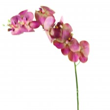 44"PHALAENOPSIS SPRAY
