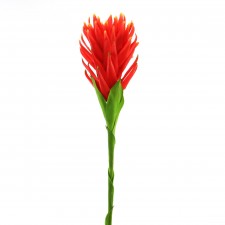 27" BROMELIAD TORCH RED
