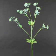 28" MONEYWORT FLOWER SPRAY