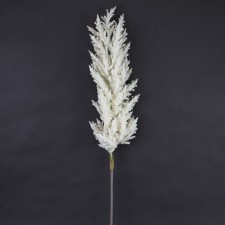 34.5"DRIED ASTILBE SPRAY