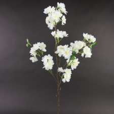 38"CHERRY BLOSSOM SPRAY CREAM