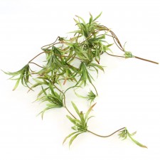 51" CHLOROPHYTUM VINE