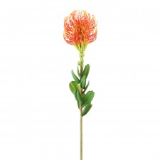 25" PINCUSHION PROTEA