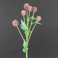 25" GLOBE THISTLE SPRAY