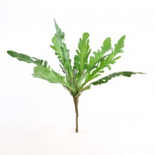13"STAGHORN FERN BUSH GRN