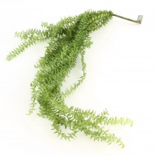 54" WISPY FERN VINE