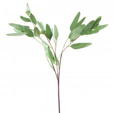 34"LONG LF EUCALYPTUS SPRAY