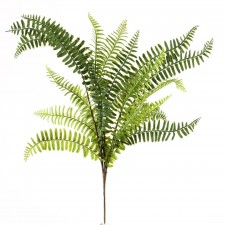 20" BOSTON FERN BUSH GREEN