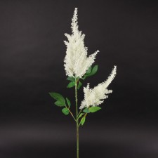 33"ASTILBE SPRAY CREAM