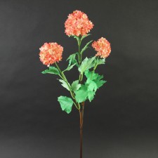 28"SNOWBALL SPRAY X3 CORAL