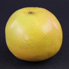 GRAPEFRUIT MATT.YELLOW A25