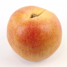 NECTARINE