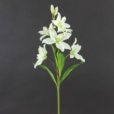 12"MINI ASIATIC LILY SPRAY