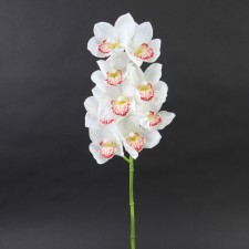 28" CYMBIDIUM SPRAY X8
