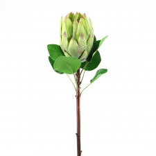 26" KING PROTEA GREEN