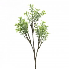 20"EUCALYPTUS BUSH TT.GRN