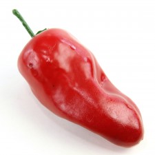 PEPPER RED A4