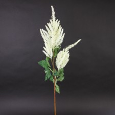 33"ASTILBE SPRAY CREAM/WHITE