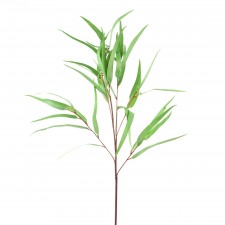 36"FEATHER LEAF EUC.W/SEEDS